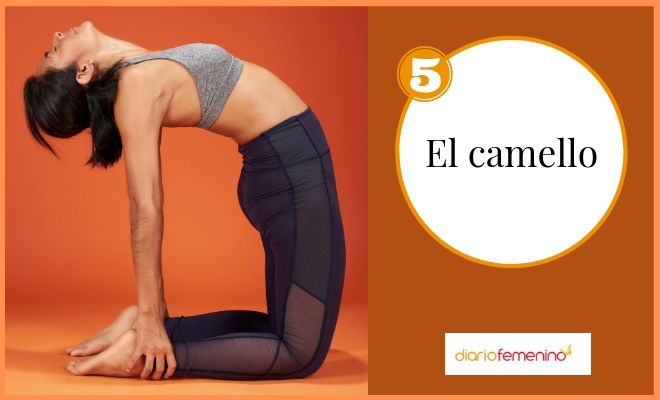 Postura El Camello yoga